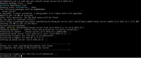install linux server sql basics